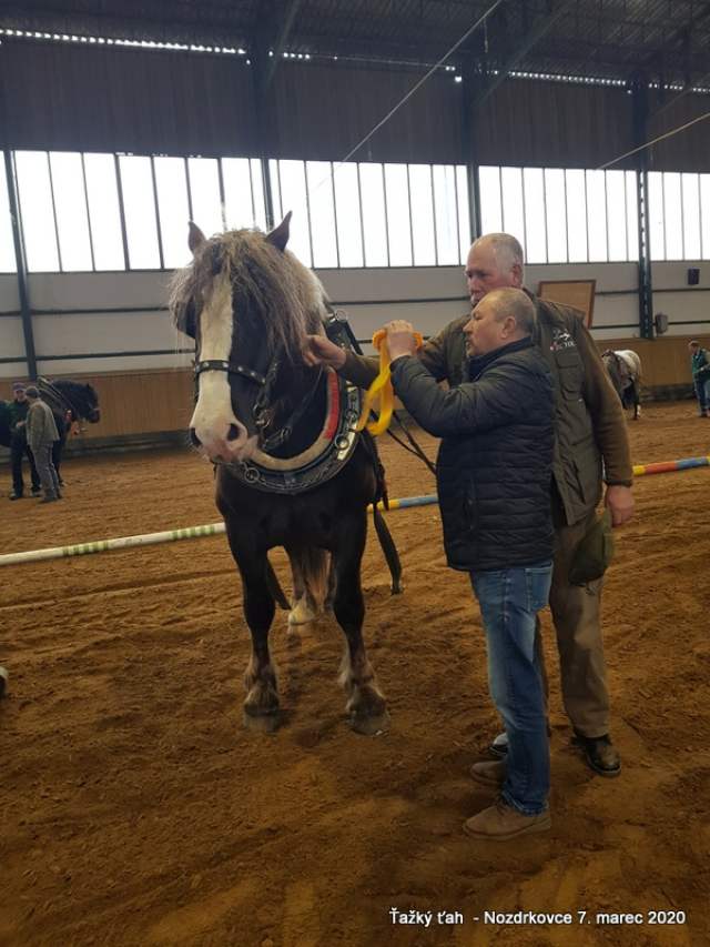 J_Halas_I_miesto_zrebce_do_5_rokov